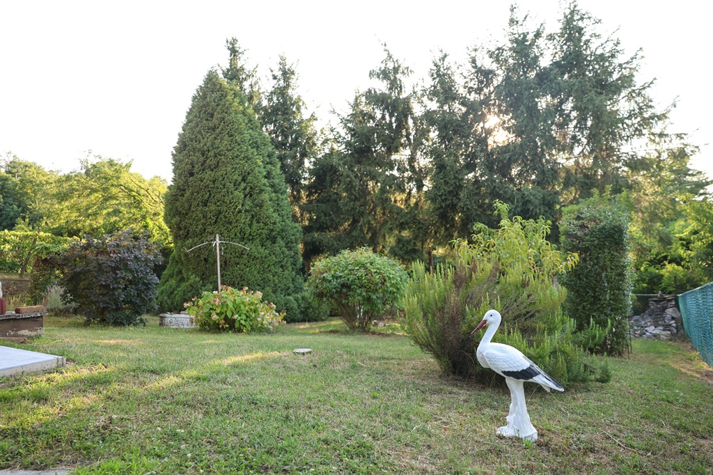 vila_ferra (20)